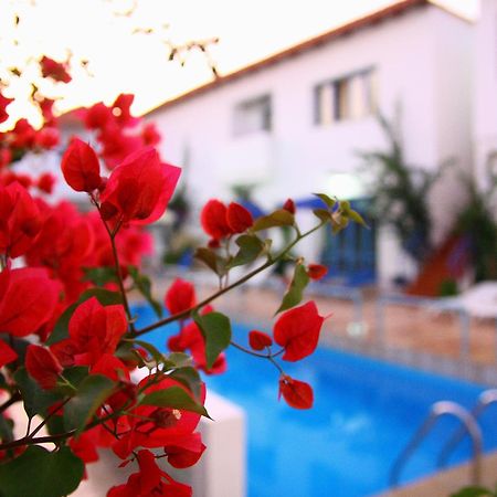 Iliana Hotel Panormos  Экстерьер фото
