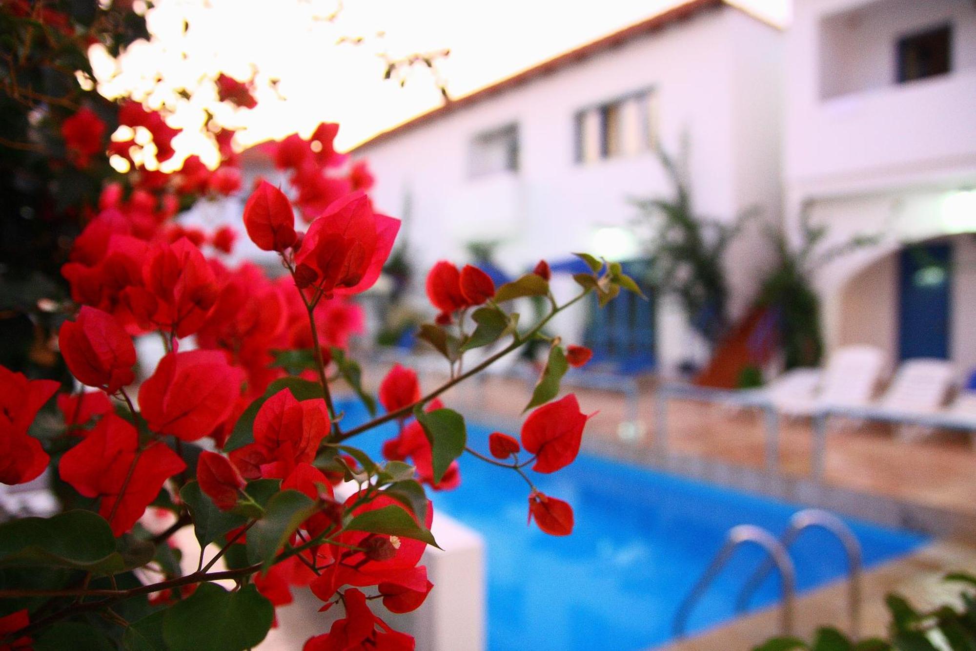 Iliana Hotel Panormos  Экстерьер фото